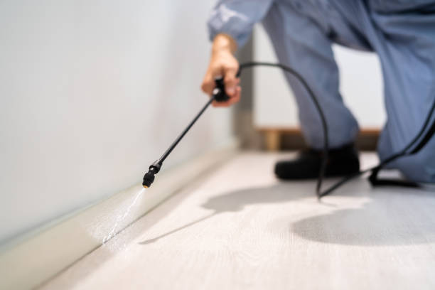 Licensed Fumigation Services service in Park City, MT - Nex Pest Control