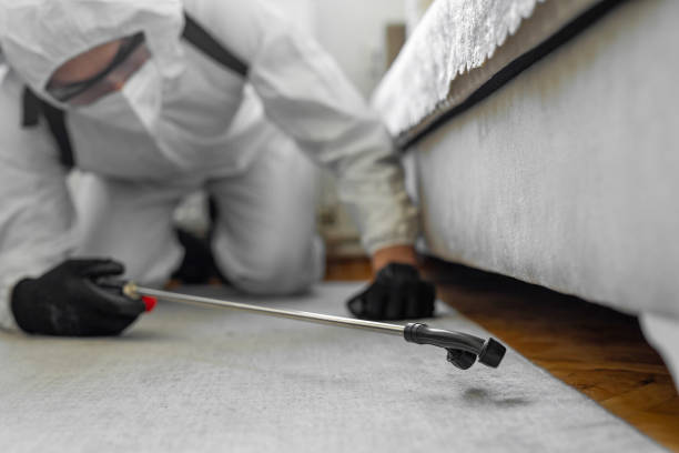 Professional Fumigation Services technician working in Park City, MT