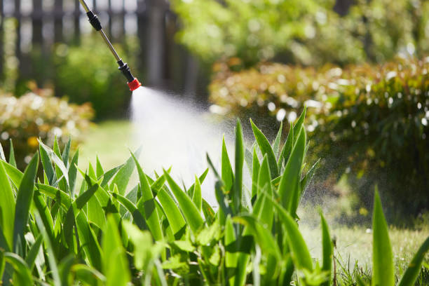 24/7 Emergency Fumigation Services experts in Park City, MT
