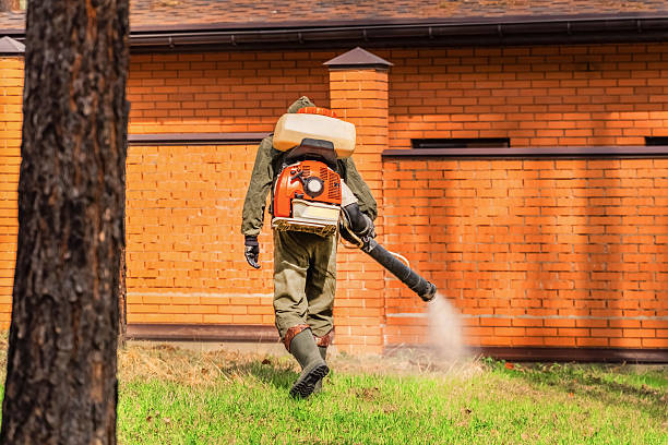 Trusted Ant Control service in Park City, MT - Nex Pest Control
